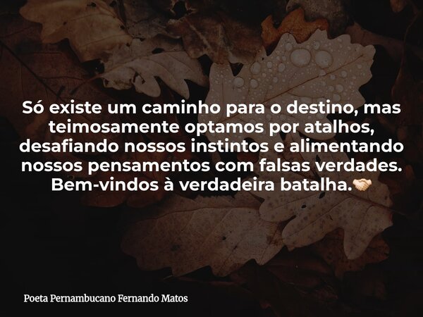 Só existe um caminho para o destino, mas teimosamente optamos por atalhos, desafiando nossos instintos e alimentando nossos pensamentos com falsas verdades. Bem... Frase de Poeta Pernambucano Fernando Matos.