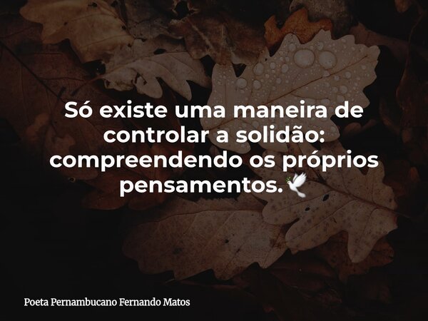 Só existe uma maneira de controlar a solidão: compreendendo os próprios pensamentos.🕊... Frase de Poeta Pernambucano Fernando Matos.