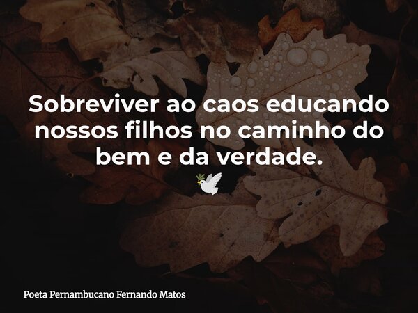 Sobreviver ao caos educando nossos filhos no caminho do bem e da verdade. 🕊... Frase de Poeta Pernambucano Fernando Matos.