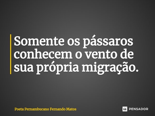 ⁠Somente os pássaros conhecem o vento de sua própria migração.... Frase de Poeta Pernambucano Fernando Matos.