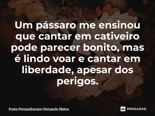 ⁠Um pássaro me ensinou que cantar em cativeiro pode parecer bonito, mas é lindo voar e cantar em liberdade, apesar dos perigos.... Frase de Poeta Pernambucano Fernando Matos.
