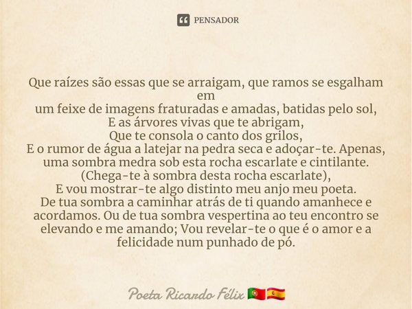 ⁠Que raízes são essas que se arraigam, que ramos se esgalham em
um feixe de imagens fraturadas e amadas, batidas pelo sol,
E as árvores vivas que te abrigam,
Qu... Frase de Poeta Ricardo Félix.