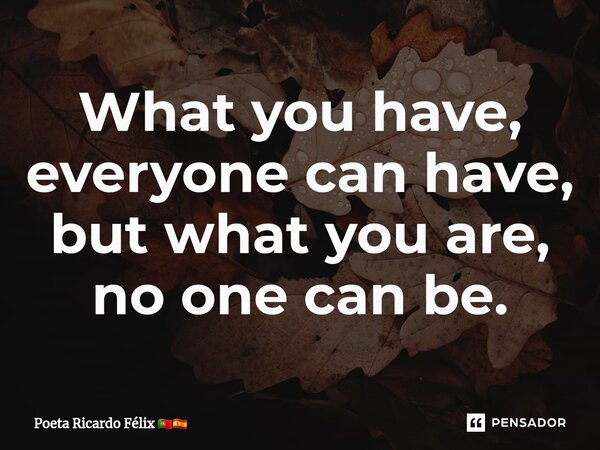 ⁠⁠What you have, everyone can have, but what you are, no one can be.... Frase de Poeta Ricardo Félix.