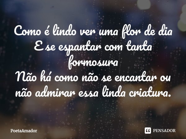 ⁠Como é lindo ver uma flor de dia
E se espantar com tanta formosura
Não há como não se encantar ou não admirar essa linda criatura.... Frase de PoetaAmador.