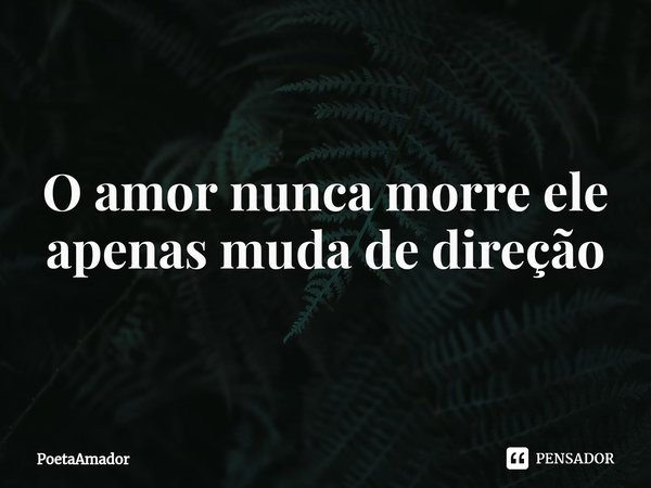⁠O amor nunca morre ele
apenas muda de direção... Frase de PoetaAmador.