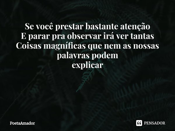 Se você prestar bastante atenção
E parar pra observar irá ver tantas
Coisas magníficas que nem as nossas palavras podem
explicar ⁠... Frase de PoetaAmador.