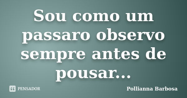 Sou como um passaro observo sempre antes de pousar...... Frase de Pollianna Barbosa.