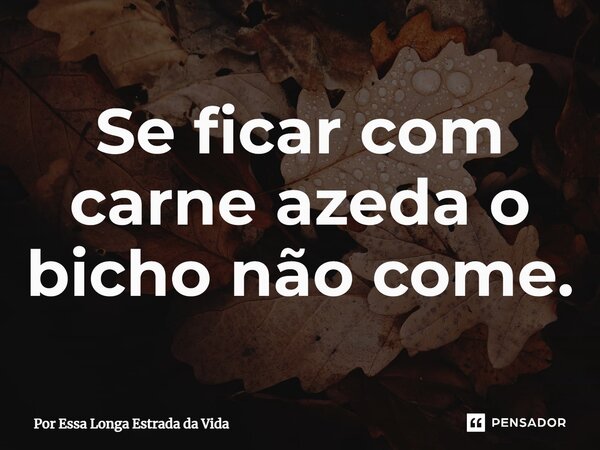 ⁠Se ficar com carne azeda o bicho não come.... Frase de Por Essa Longa Estrada da Vida.