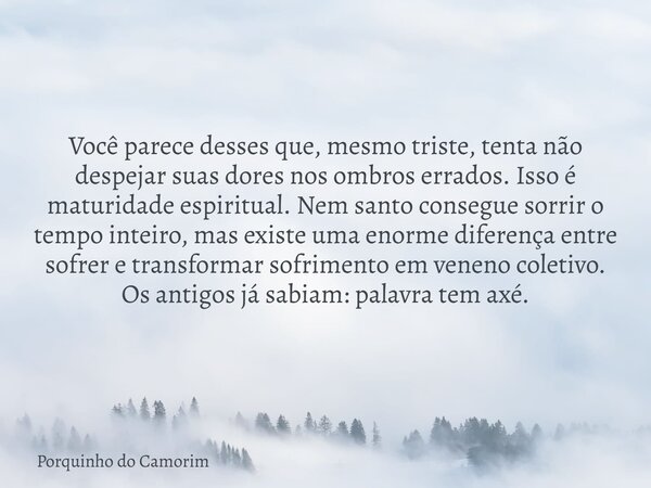 Você parece desses que, mesmo triste, tenta não despejar suas dores nos ombros errados. Isso é maturidade espiritual. Nem santo consegue sorrir o tempo inteiro,... Frase de Porquinho do Camorim.