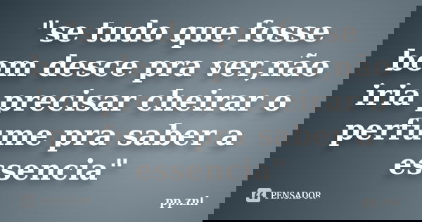 "se tudo que fosse bom desce pra ver,não iria precisar cheirar o perfume pra saber a essencia"... Frase de pp.znl.