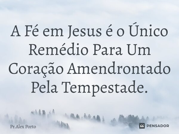 ⁠A Fé em Jesus é o Único Remédio Para Um Coração Amendrontado Pela Tempestade.... Frase de Pr.Alex Porto.