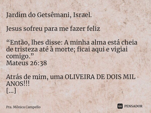 ⁠Jardim do Getsêmani, Israel. Jesus sofreu para me fazer feliz “Então, lhes disse: A minha alma está cheia de tristeza até à morte; ficai aqui e vigiai comigo.”... Frase de Pra. Mônica Campello.