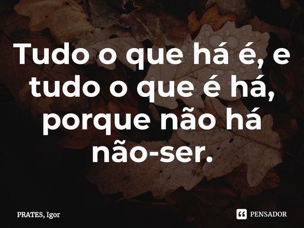 ⁠Tudo o que há é, e tudo o que é há, porque não há não-ser⁠.... Frase de PRATES, Igor.