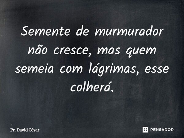 ⁠Semente de murmurador não cresce, mas quem semeia com lágrimas, esse colherá.... Frase de Pr. David César.