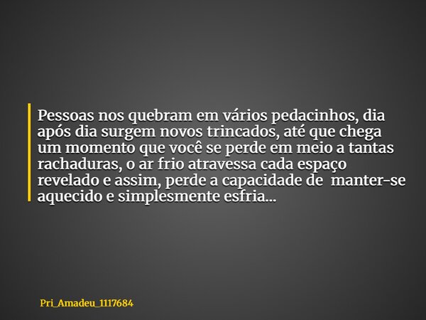 Pessoas nos quebram em vários pedacinhos, dia após dia surgem novos trincados, até que chega um momento que você se perde em meio a tantas rachaduras, o ar frio... Frase de Pri_Amadeu_1117684.