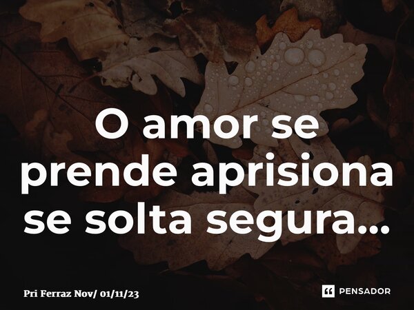 ⁠⁠O amor se prende aprisiona se solta segura…... Frase de Pri Ferraz Nov 011123.