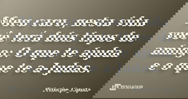 Meu caro, nesta vida você terá dois tipos de amigo: O que te ajuda e o que te a-Judas.... Frase de Principe_Copata.