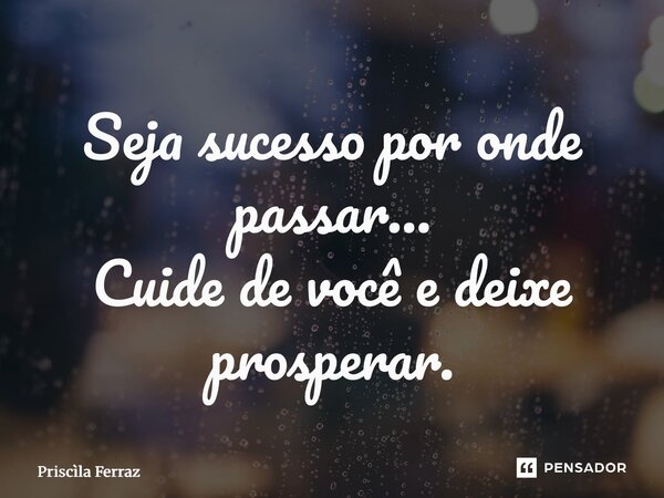 ⁠Seja sucesso por onde passar… Cuide de você e deixe prosperar.... Frase de Priscila Ferraz.