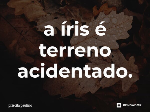 ⁠a íris é terreno acidentado.... Frase de priscila paulino.
