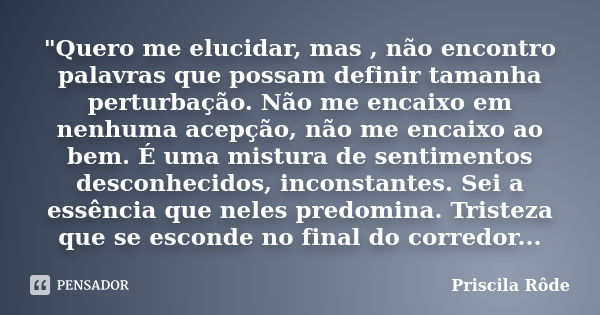 "Quero me elucidar, mas , não encontro palavras que possam definir tamanha perturbação. Não me encaixo em nenhuma acepção, não me encaixo ao bem. É uma mis... Frase de Priscila Rôde.