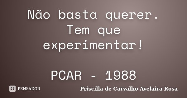 Não basta querer. Tem que experimentar! PCAR - 1988... Frase de Priscilla de Carvalho Avelaira Rosa.