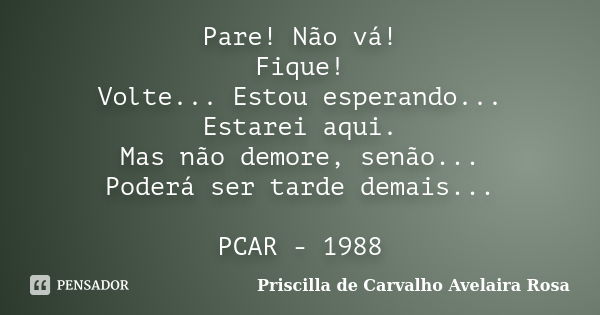 Pare! Não vá! Fique! Volte... Estou esperando... Estarei aqui. Mas não demore, senão... Poderá ser tarde demais... PCAR - 1988... Frase de Priscilla de Carvalho Avelaira Rosa.