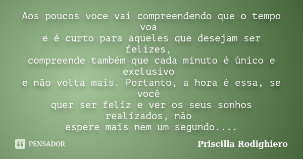 Aos poucos voce vai compreendendo que o tempo voa e é curto para aqueles que desejam ser felizes, compreende também que cada minuto é único e exclusivo e não vo... Frase de Priscilla Rodighiero.