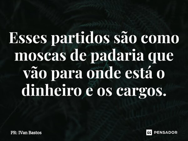 ⁠Esses partidos são como moscas de padaria que vão para onde está o dinheiro e os cargos.... Frase de PR: IVan Bastos.
