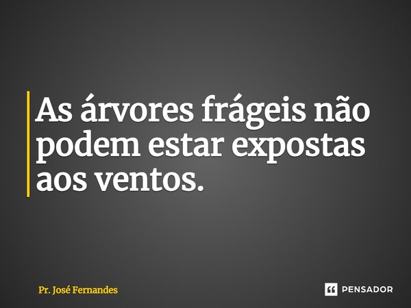 As árvores frágeis não podem estar expostas aos ventos.... Frase de Pr. José Fernandes.