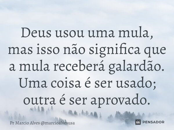⁠Deus usou uma mula, mas isso não significa que a mula receberá galardão. Uma coisa é ser usado; outra é ser aprovado.... Frase de Pr Marcio Alves marcioalvesusa.
