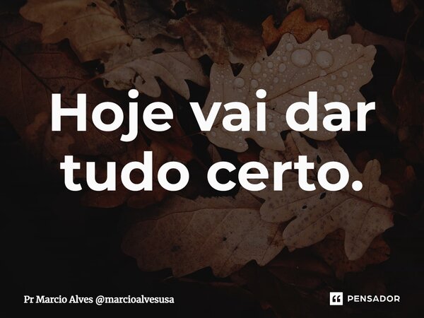 ⁠Hoje vai dar tudo certo.... Frase de Pr Marcio Alves marcioalvesusa.