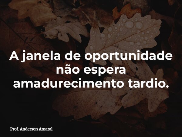 A janela de oportunidade não espera amadurecimento tardio.... Frase de Prof. Anderson Amaral.