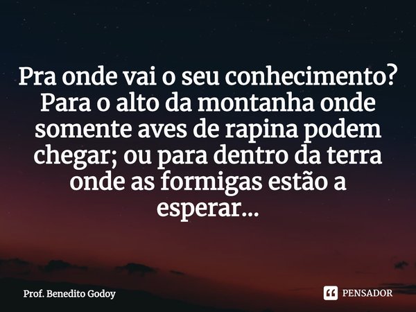 ⁠Pra onde vai o seu conhecimento?
Para o alto da montanha onde somente aves de rapina podem chegar; ou para dentro da terra onde as formigas estão a esperar...... Frase de Prof. Benedito Godoy.