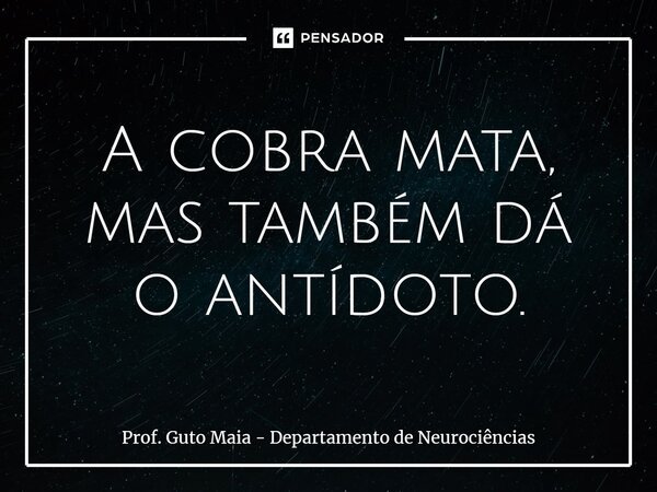 ⁠A cobra mata, mas também dá o antídoto.... Frase de Prof. Guto Maia - Departamento de Neurociências.