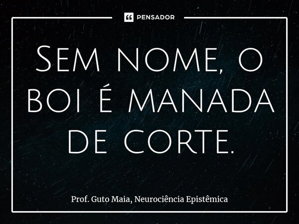⁠Sem nome, o boi é manada de corte.... Frase de Prof. Guto Maia, Neurociência Epistêmica.