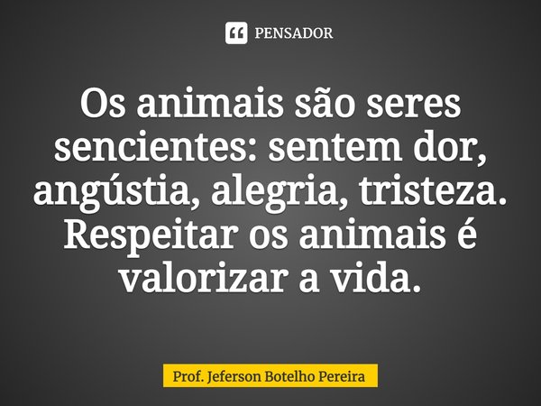 ⁠Os animais são seres sencientes: sentem dor, angústia, alegria, tristeza. Respeitar os animais é valorizar a vida.... Frase de Prof. Jeferson Botelho Pereira.