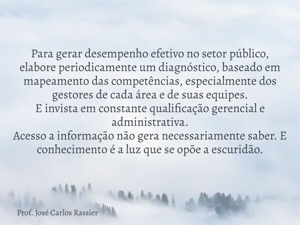 Para gerar desempenho efetivo no setor público, elabore periodicamente um diagnóstico, baseado em mapeamento das competências, especialmente dos gestores de cad... Frase de Prof. José Carlos Rassier.