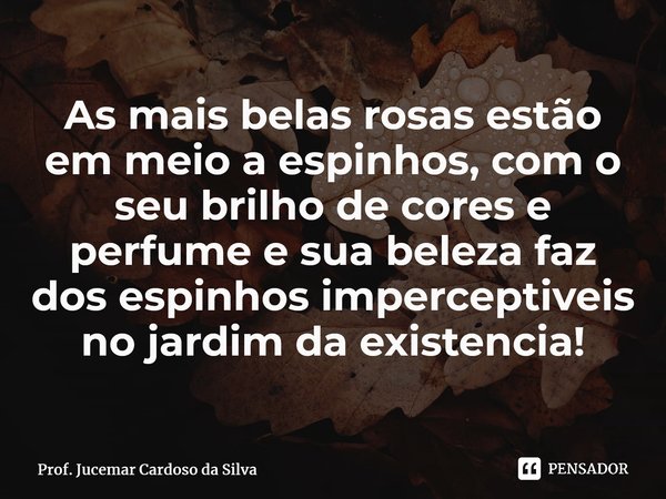 ⁠As mais belas rosas estão em meio a espinhos,com o seu brilho de cores e perfume e sua beleza faz dos espinhos imperceptíveis no jardim da existencial!... Frase de Prof. Jucemar Cardoso da Silva.