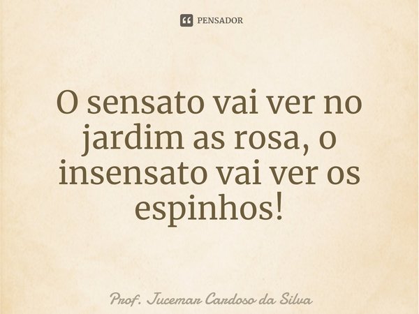 ⁠⁠O sensato vai ver no jardim as rosa, o insensato vai ver os espinhos!... Frase de Prof. Jucemar Cardoso da Silva.
