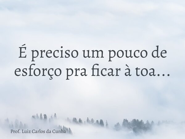 ⁠É preciso um pouco de esforço pra ficar à toa...... Frase de Prof. Luiz Carlos da Cunha.