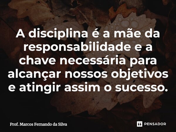 A disciplina é a mãe da responsabilidade e a chave necessária para alcançar nossos objetivos e atingir assim o sucesso.... Frase de Prof. Marcos Fernando da Silva.
