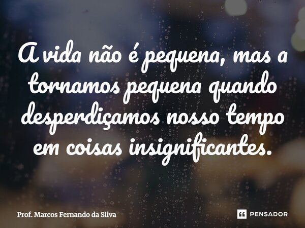 ⁠A vida não é pequena, mas a tornamos pequena quando desperdiçamos nosso tempo em coisas insignificantes.... Frase de Prof. Marcos Fernando da Silva.