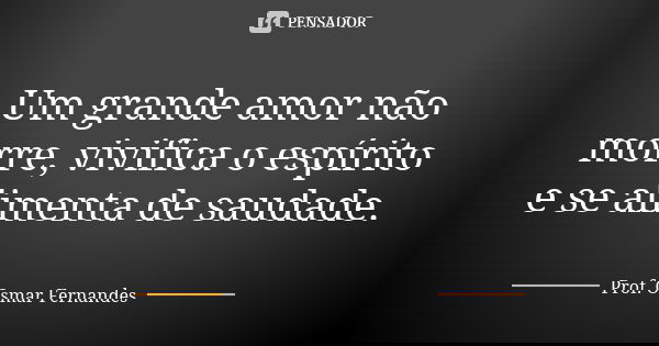 Um grande amor não morre, vivifica o espírito e se alimenta de saudade.... Frase de prof. Osmar Fernandes.