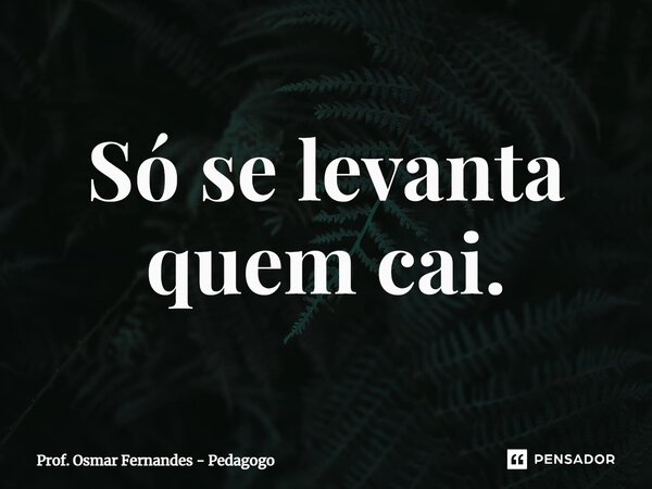 Só se levanta quem cai.⁠... Frase de Prof. Osmar Fernandes - Pedagogo.