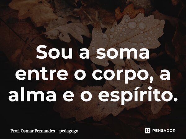 ⁠Sou a soma entre o corpo, a alma e o espírito.... Frase de Prof. Osmar Fernandes - Pedagogo.