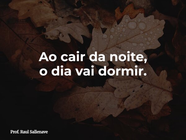 ⁠Ao cair da noite, o dia vai dormir.... Frase de Prof. Raul Sallenave.