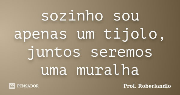 sozinho sou apenas um tijolo, juntos seremos uma muralha... Frase de Prof Roberlandio.