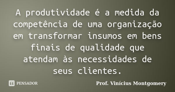 A produtividade é a medida da competência de uma organização em transformar insumos em bens finais de qualidade que atendam às necessidades de seus clientes.... Frase de Prof. Vinícius Montgomery.