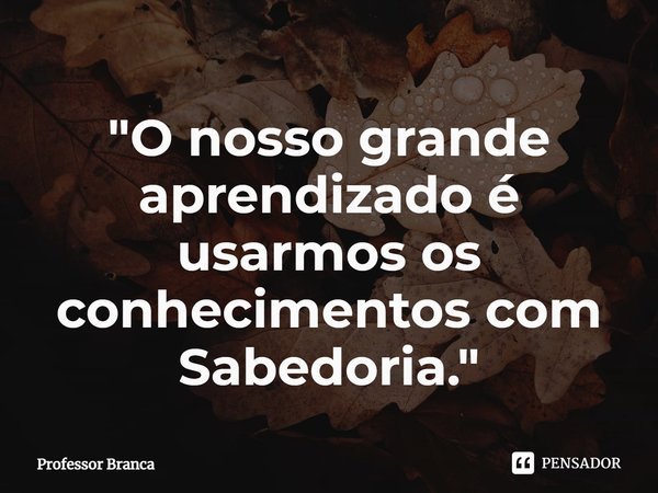 ⁠"O nosso grande aprendizado é usarmos os conhecimentos com Sabedoria."... Frase de Professor Branca.