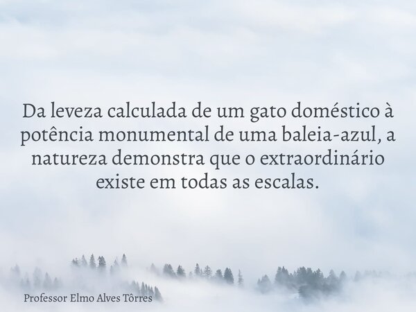 Da leveza calculada de um gato doméstico à potência monumental de uma baleia-azul, a natureza demonstra que o extraordinário existe em todas as escalas.... Frase de Professor Elmo Alves Tôrres.